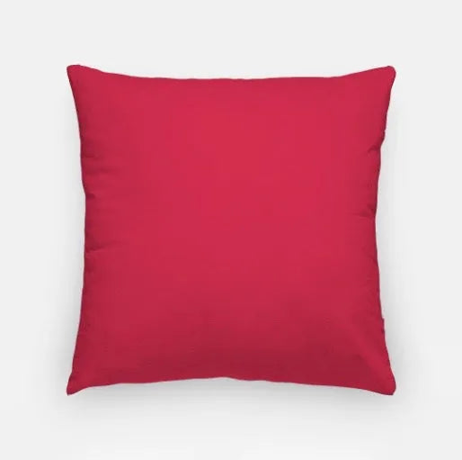 Black Arkansas "STATE" University Pillow Cover 18" | Gifts and Decor | Merchandise | Festive FIt Home